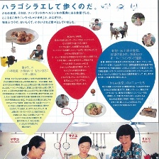海鷗食堂