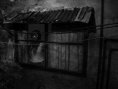 盲人的梦
