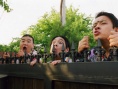 糊涂家族