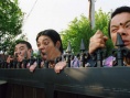 糊涂家族