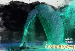 派拉蒙奇幻力作、李安首部3D影片《少年P(guān)i的奇幻漂流》是其耗費(fèi)三年時(shí)間精心準(zhǔn)備的全新題材與風(fēng)格的作品，電影采用了最新的CG技術(shù)與3D手段，分別趕赴臺(tái)灣和印度取景，將魔幻現(xiàn)實(shí)主義同名原著演繹得淋漓盡致。其中用CGI技術(shù)打造的孟加拉虎動(dòng)效流暢、威猛異常，天光云影的海面日出美得令人窒息。