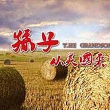 孫子從美國來
