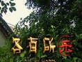 各有所樂