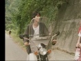 萌之朱雀