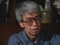 全身小说家