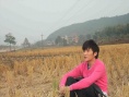 万年飘香