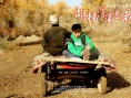 胡杨深处是我家