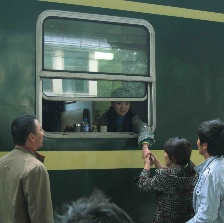 胡楊深處是我家