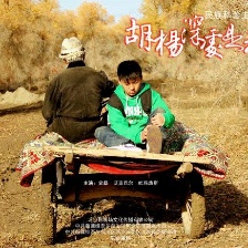 胡楊深處是我家