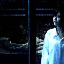 自然城市