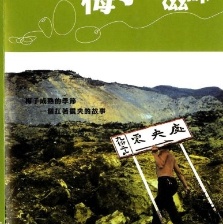 梅子的滋味