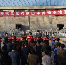 鳳凰溝的春天