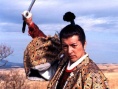 百济武士
