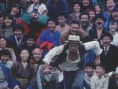 再見箱舟