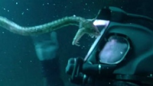 深海发现人类飞船来自未来 外星人纠缠玩生死游戏