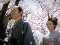 花痕