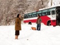 花之岛