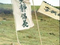 李在守之乱