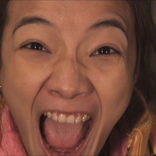 狂奔螞蟻