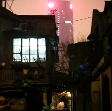 狂奔螞蟻