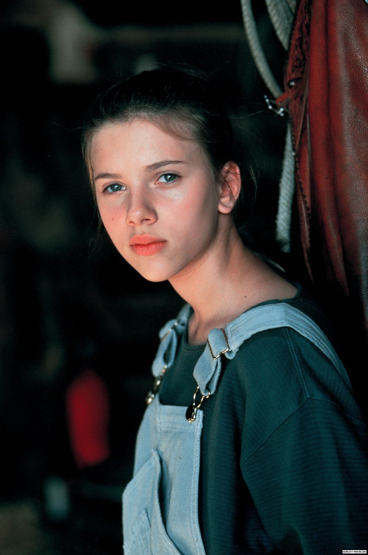 马语者_电影剧照_图集_电影网_1905.com