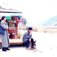 停在空中的鳥
