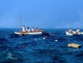 巨浪