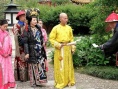 醫(yī)癡葉天士