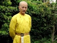醫(yī)癡葉天士