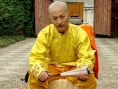 醫(yī)癡葉天士