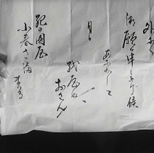心中天网岛