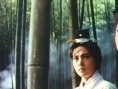 侠女剧照