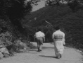 女人中的陌生人