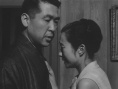 女人中的陌生人