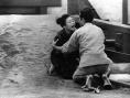 红胡子