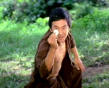 功夫小子