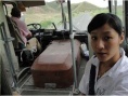 小黑鸟