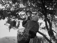 日本昆虫记