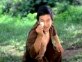 功夫小子