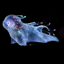 深海之戰(zhàn)