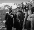 沙漠里的战斗