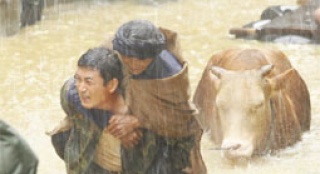 王志飛片場遇“牛大腕” 雪中送炭遭群羊“搶鏡”