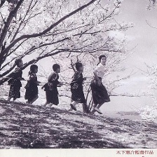 二十四只眼睛