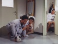 爱情综合病院