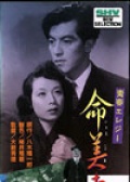生命多美好