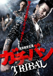 学校制霸 Tribal