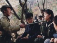 南部军