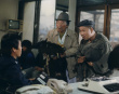 通往青松之路