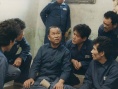 通往青松之路