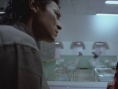 江湖